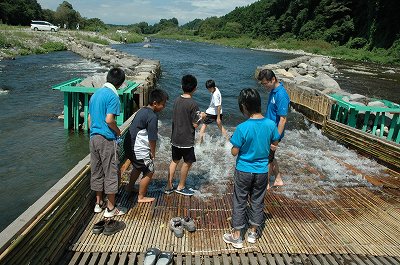 やな場での川遊び.jpg